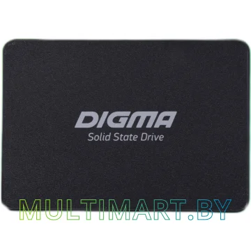 SSD диск Digma Run P1 1TB (DGSR2001TP13T)